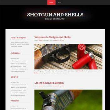 Shotgun and Shells
