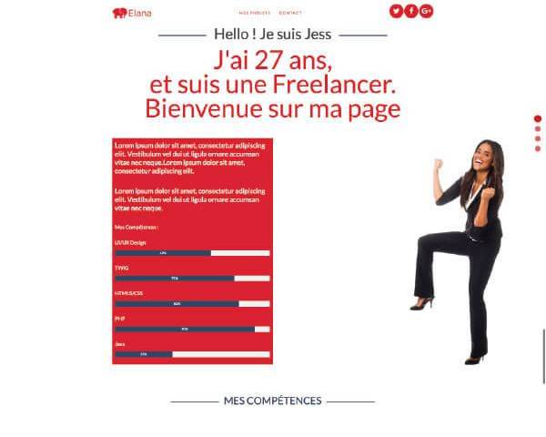 Freelancer