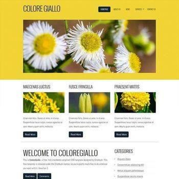 Colore Giallo